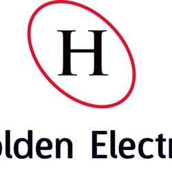 Holden Electric