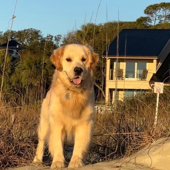 Buckaroo Creek - Pet Training Near Me - North Kingstown, Rhode Island Buckaroo Creek - Pet Training Near Me - North Kingstown, Rhode Island