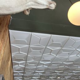 I was mesmerized by that ceiling design. I was mesmerized by that ceiling design.