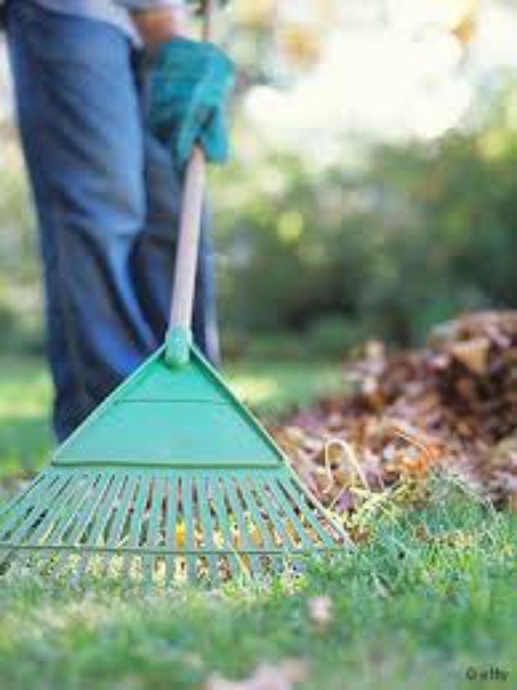 Mayra's Cleaning Services And  Supply Shop - veterans service organization in Albuquerque, NM