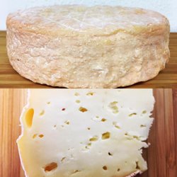 My Artisano Foods