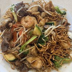 Panda Chef - House Special Pan-Fried Noodles