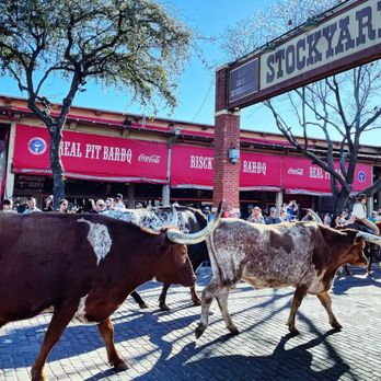The Stockyards - Local Flavor Near Me - Fort Worth, Texas The Stockyards - Local Flavor Near Me - Fort Worth, Texas