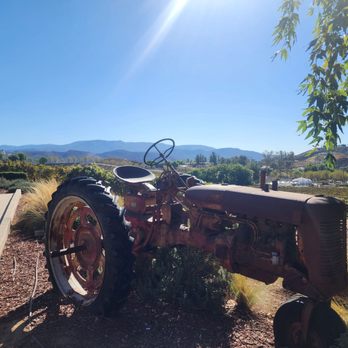 Grapeline Wine Tours - Wine Tours Near Me - Temecula, California Grapeline Wine Tours - Wine Tours Near Me - Temecula, California