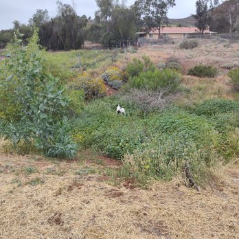 Palacios Landscaping - Before - Landscaping Near Me - Lake Elsinore, California