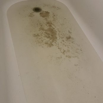 Golden Shores of Jacksonville - Toilet paper and feces in my bath tub - Apartments Near Me - Jacksonville, Florida Golden Shores of Jacksonville - Toilet paper and feces in my bath tub - Apartments Near Me - Jacksonville, Florida