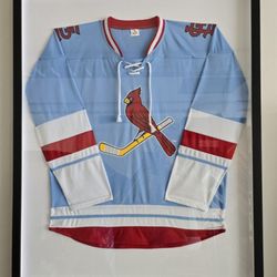 Picture Framing STL - Hockey/baseball combo