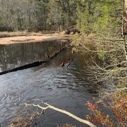 Batona Trail - Sunken dam