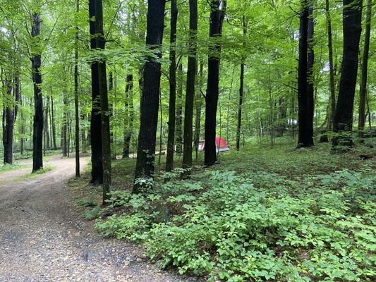 Wells State Park by null