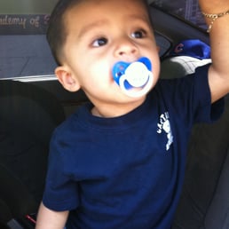 Fresh Cut - lined up 1 year old Fresh Cut - lined up 1 year old