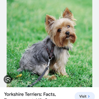 Petco - This is the pic I provided as the example - Pet Stores Near Me - Columbia, Maryland