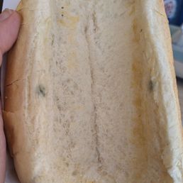 Molded hot dog bun