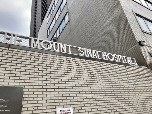 THE MOUNT SINAI HOSPITAL Updated January 2026 238 Photos 432 Real L