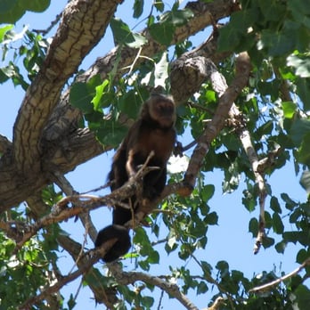 Denver Zoo - Zoos Near Me - Denver, Colorado Denver Zoo - Zoos Near Me - Denver, Colorado