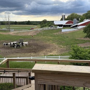 Moomers - Moomers farm - view from outdoor deck - Ice Cream & Frozen Yogurt Near Me - Traverse City, Michigan Moomers - Moomers farm - view from outdoor deck - Ice Cream & Frozen Yogurt Near Me - Traverse City, Michigan