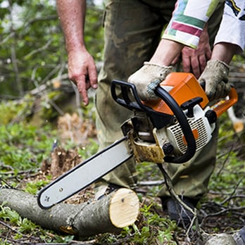 Pierson Tree & Landscaping - Landscaping Near Me Pierson Tree & Landscaping - Landscaping Near Me