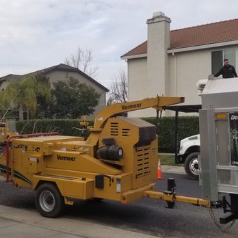 Easy Stumps Tree Services - Tree Services Near Me - Folsom, California