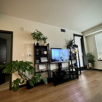 Plantlush  - plants from plant lush! - Nurseries & Gardening Near Me - San Jose, California