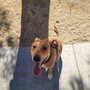 Photo of Notorious Yard Maintenance And Poop Scoop