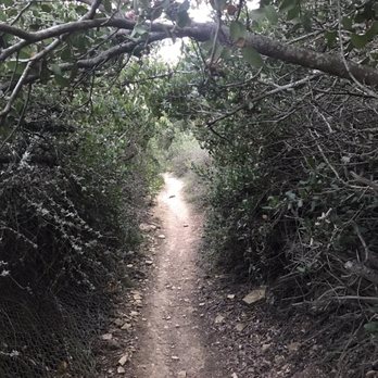 Forrestal Ecological Reserve - Hiking Near Me - Rancho Palos Verdes, California