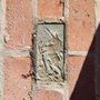 Photo of Boston Bricks