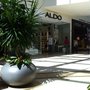 Photo of Aldo