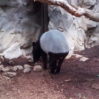 Minnesota Zoo - Zoos Near Me - Apple Valley, Minnesota Minnesota Zoo - Zoos Near Me - Apple Valley, Minnesota