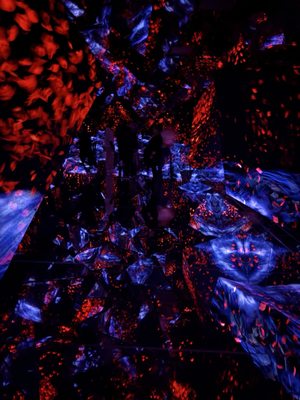 teamLab Borderless: MORI Building DIGITAL ART MUSEUM by null