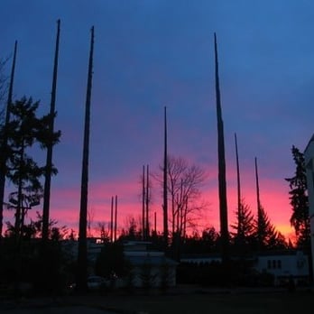 Out On A Limb Tree Service - Large crane job in Bellevue - Tree Services Near Me - Arlington, Washington Out On A Limb Tree Service - Large crane job in Bellevue - Tree Services Near Me - Arlington, Washington