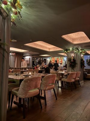 The Splendid by null