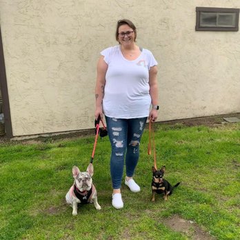 Little Wolf Canine Academy - Walking with my sisters dog. - Dog Walkers Near Me Little Wolf Canine Academy - Walking with my sisters dog. - Dog Walkers Near Me