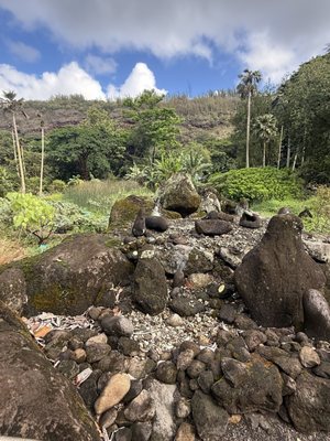 Waimea Valley by null