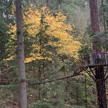 Capilano Suspension Bridge Park - Treetop Adventure - Parks Near Me - North Vancouver, British Columbia