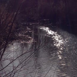 Creek that runs around the premises