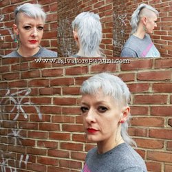 Puccini Hair Design - This Silver came in first place!