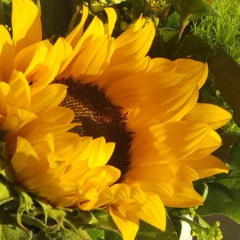 Canoga Park Florist - Florists Near Me - Canoga Park, California Canoga Park Florist - Florists Near Me - Canoga Park, California