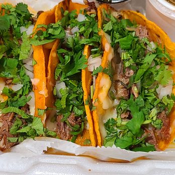 Lolis Tacos - Benjamin - Quesabirria tacos... lots of cilantrol Delicious! - Mexican Near Me - Tampa, Florida Lolis Tacos - Benjamin - Quesabirria tacos... lots of cilantrol Delicious! - Mexican Near Me - Tampa, Florida