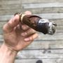 Photo of Stix Cigar Shop