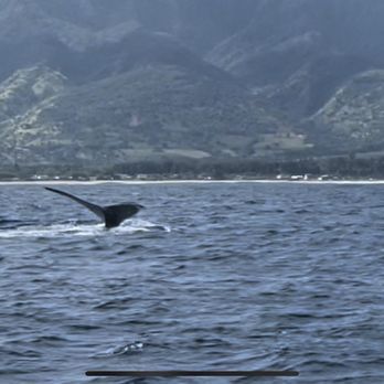 North Shore Catamaran Charters - Boating Near Me - Haleiwa, Hawaii
