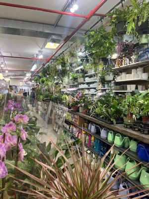 Mushtari Hardware & Garden by null