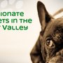 Photo of Main Street Veterinary Clinic