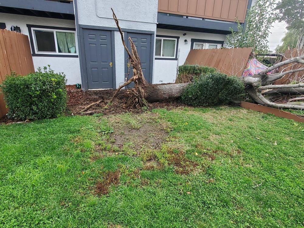 ROCKWELL MANOR APARTMENTS Updated September 2024 693 E Tabor Ave