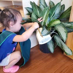 Guidepost Montessori - Las Colinas