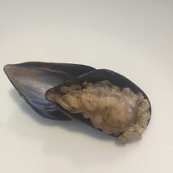 Sardalyos - Stuffed mussel.