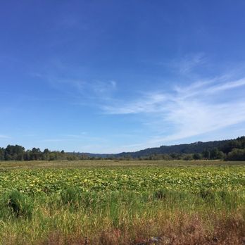 Hunter Farms - Specialty Food Near Me - Union, Washington