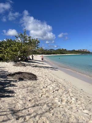 Lindquist Beach by null