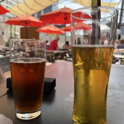 Blue Jay Brewing