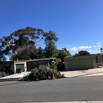 Chip’s Tree Service - The brush - Tree Services Near Me - Sacramento, California Chip’s Tree Service - The brush - Tree Services Near Me - Sacramento, California