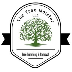 The Tree Meister
