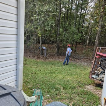 Green Tree Service - Tree Services Near Me - Griffin, Georgia